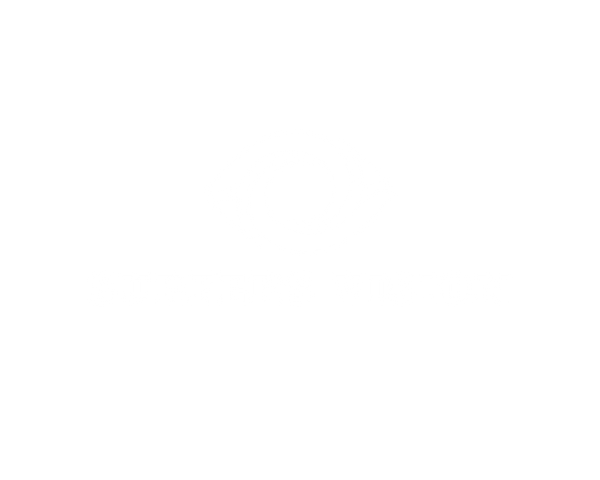 Surfers Vision